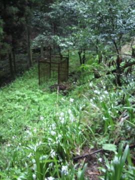 北九州で雑草対策、山本緑翠園66