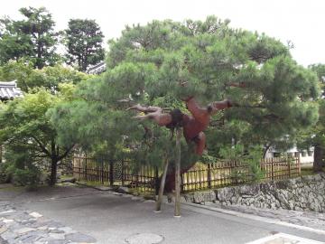 庭師の一日　京都　嵐山　天龍寺