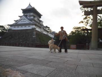 秋田犬と一緒に小倉城