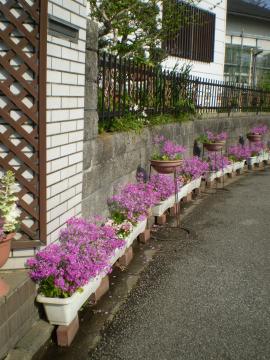 4月の外のメイン飾りです♪