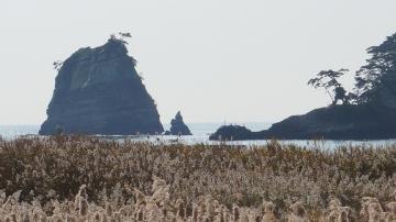 浦戸諸島陰田島