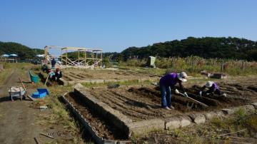 野々島ラベンダー畑　作業中