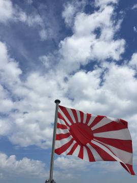 2015観艦式