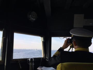 2015観艦式
