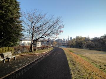 広瀬川 2015年12月12日