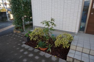 ツバキ羽衣,ジンチョウゲ前島