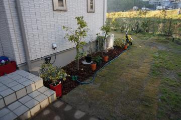 ツバキ春曙光,ジンチョウゲ前島