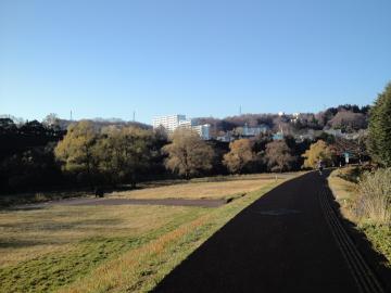 広瀬川 2015年12月12日